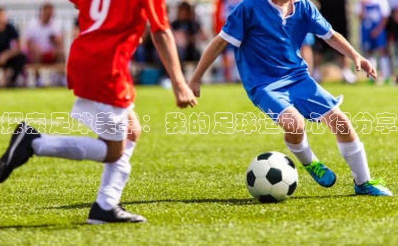 乐虎一官网京东探索足球美学：我的足球运动心得分享