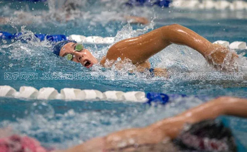 乐虎方app下载中文在线辽宁风采：区内精英汇聚的激烈角逐——区级运动赛事精彩回顾与展望