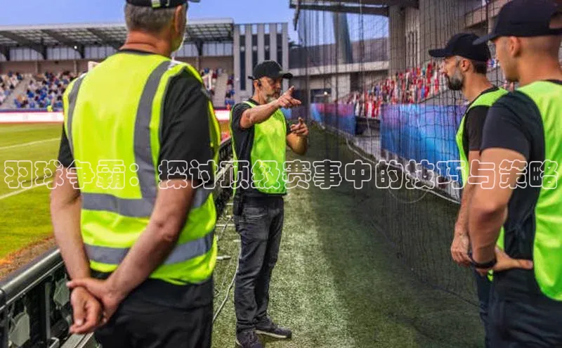 乐虎lehu08手机版哇咔哇咔文化羽球争霸：探讨顶级赛事中的技巧与策略