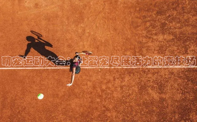 萌宠运动大会：让爱宠尽展活力的竞技场