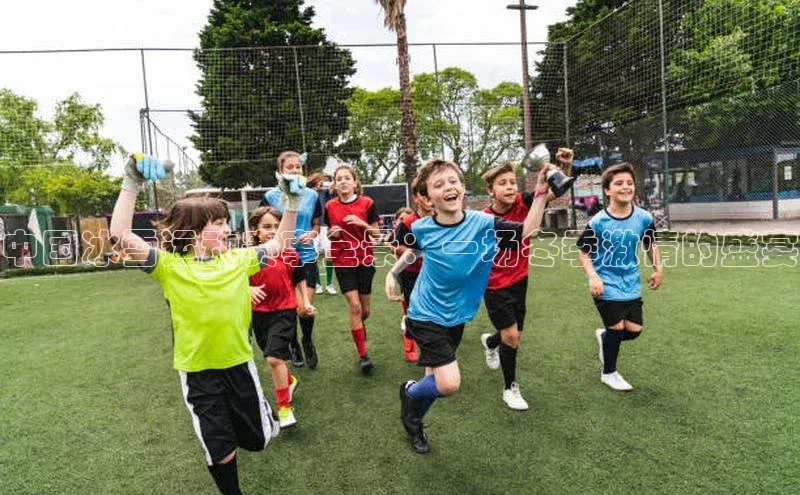 中国冰雪运动赛事全景：一场冬季激情的盛宴