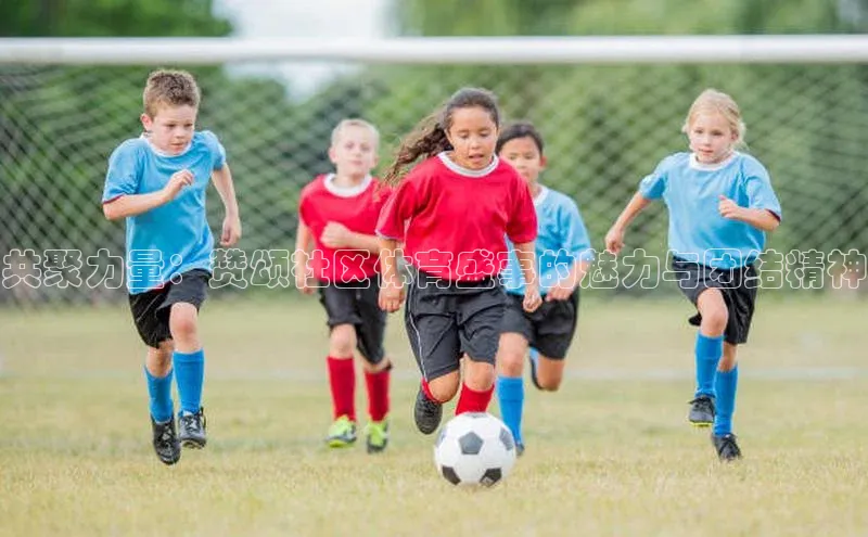 共聚力量：赞颂社区体育盛事的魅力与团结精神