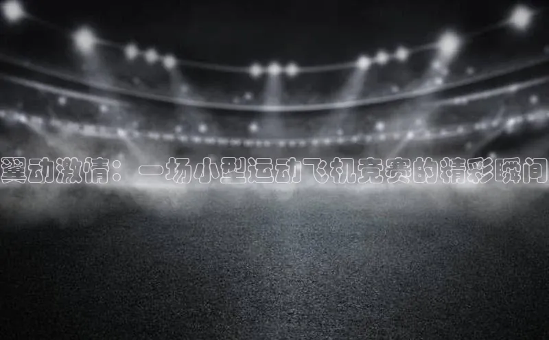 翼动激情：一场小型运动飞机竞赛的精彩瞬间