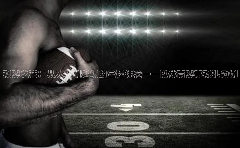 观赛之花：从入场到退场的全程体验——以体育赛事观礼为例