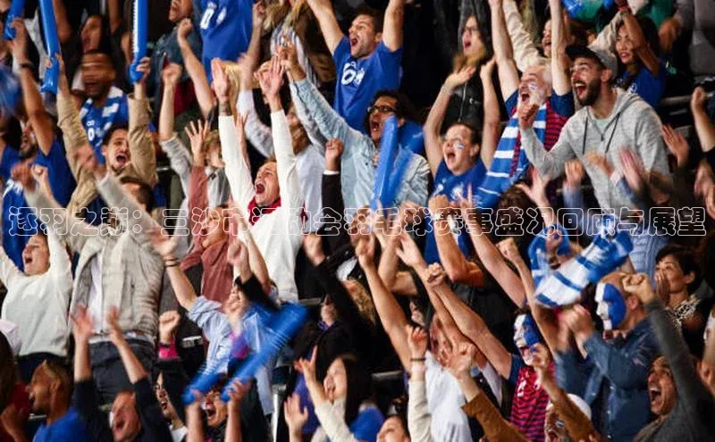 逐羽之巅：三沙市运动会羽毛球赛事盛况回顾与展望