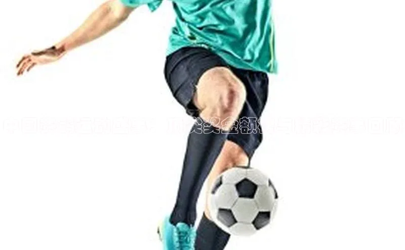 中国赛鸽运动盛事：顶尖奖金额榜与精彩赛事回顾