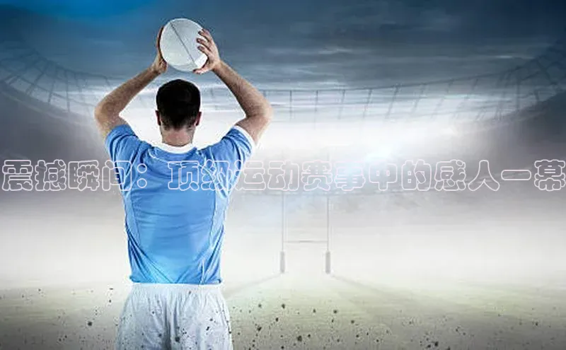 震撼瞬间：顶级运动赛事中的感人一幕