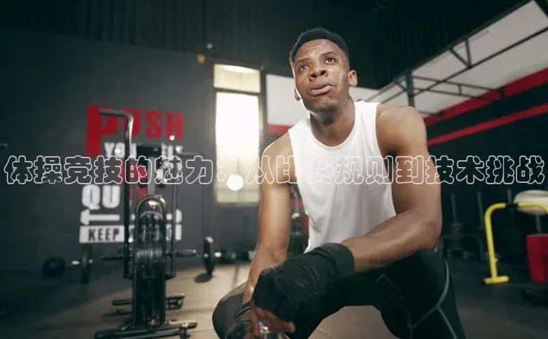 体操竞技的魅力：从比赛规则到技术挑战