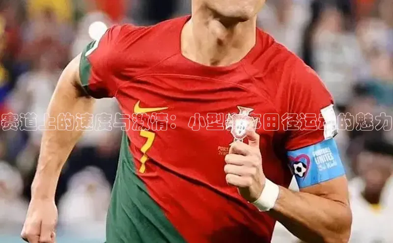 赛道上的速度与激情：小型赛事田径运动的魅力