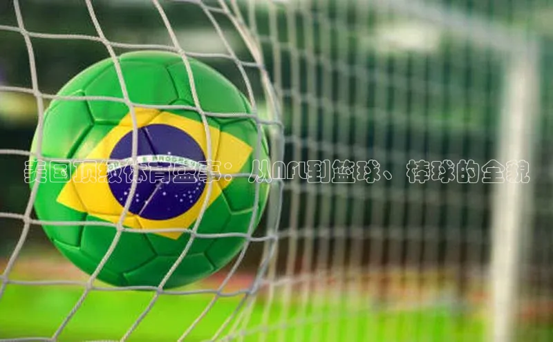 美国顶级体育盛事：从NFL到篮球、棒球的全貌