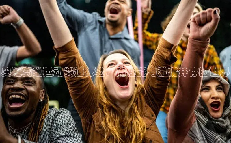 奥迪高端运动赛道体验：高性能与激情并存的世界