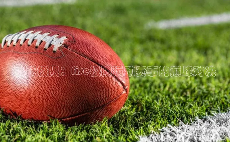 lehu66游戏官网入口