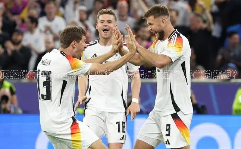 乐虎网页版登录入口