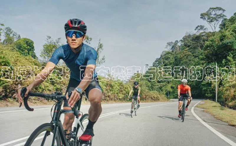 乐虎唯一官网入口