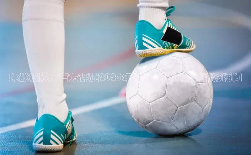 国际乐虎vip官网下载