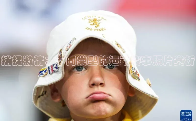 乐虎网页版登录入口