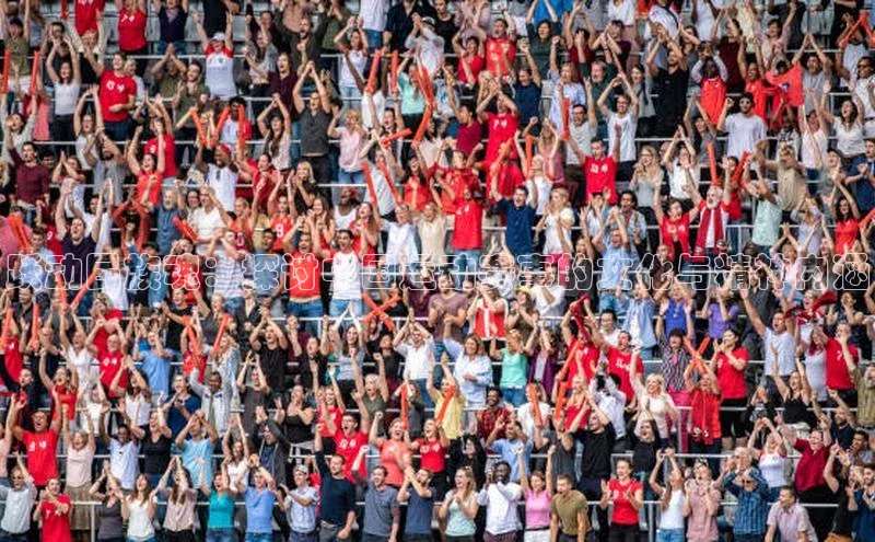 跃动民族魂：探讨中国运动赛事的文化与精神内涵